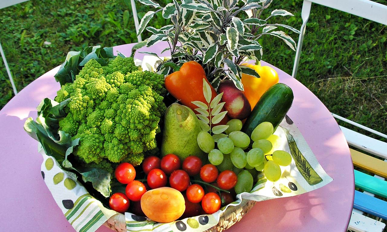 网络ddos监测分析工具