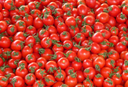 数据恢复工具的网站防ddos攻击