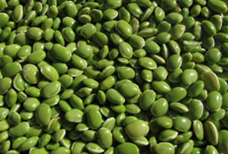 在线DDOS压力测试网页端