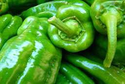 在线DDOS压力测试网页端