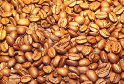 网络ddos攻击软件